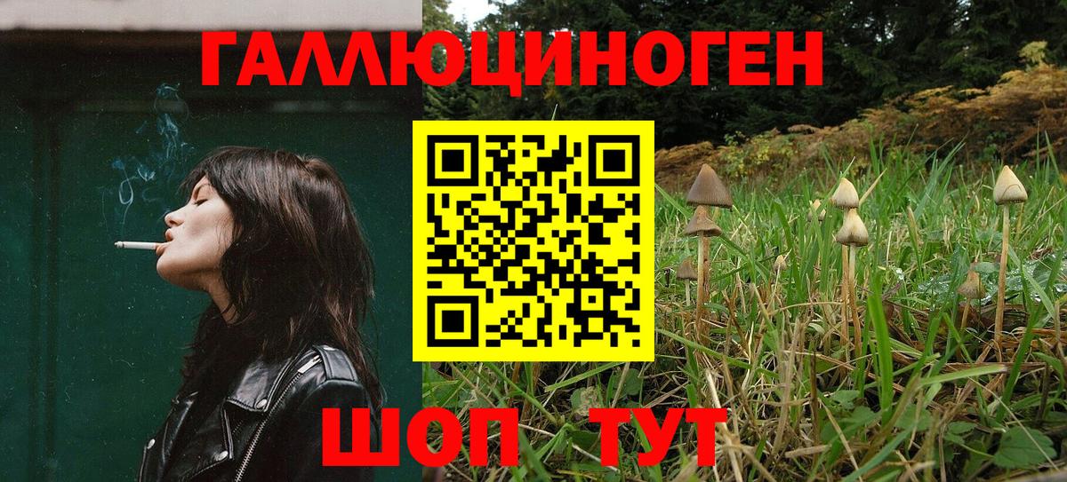 Галлюциногенные грибы MAGIC MUSHROOMS Железноводск